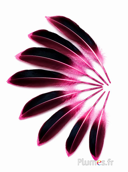 Anatra - 8-10 cm - rosa